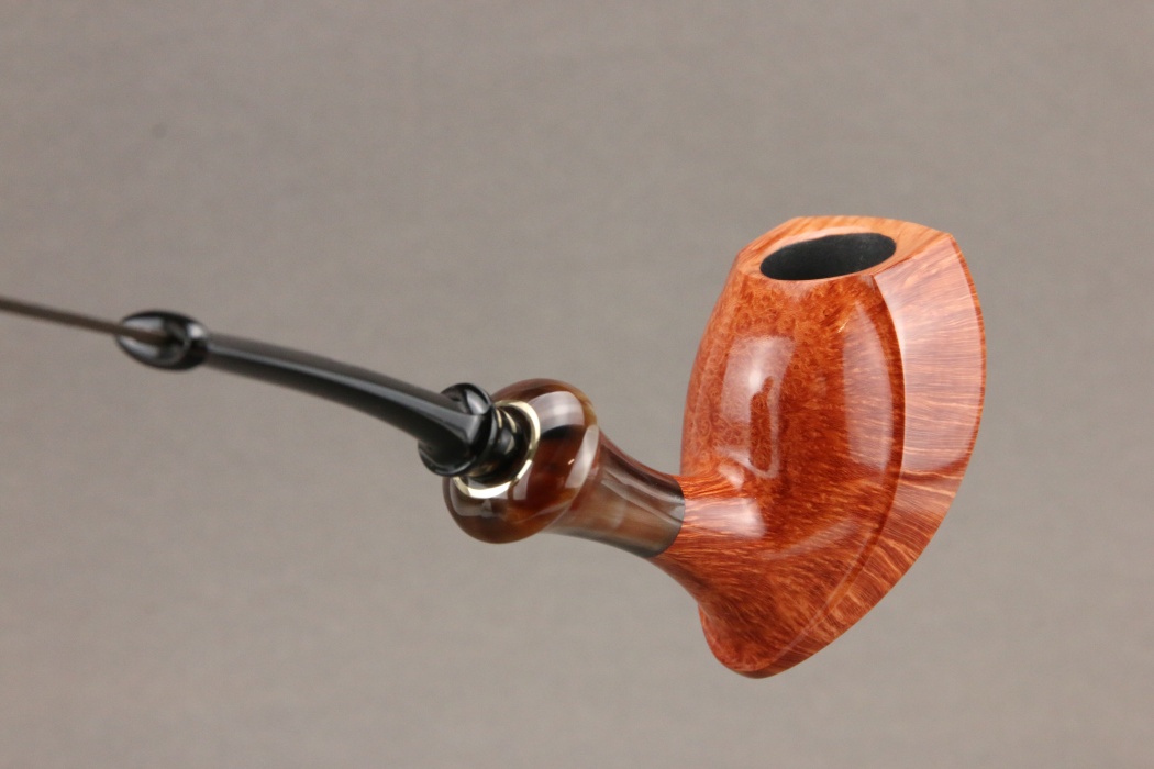 Natural Elephant Foot with horn accent