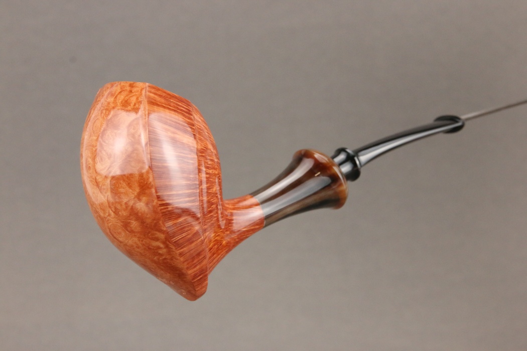 Natural Elephant Foot with horn accent