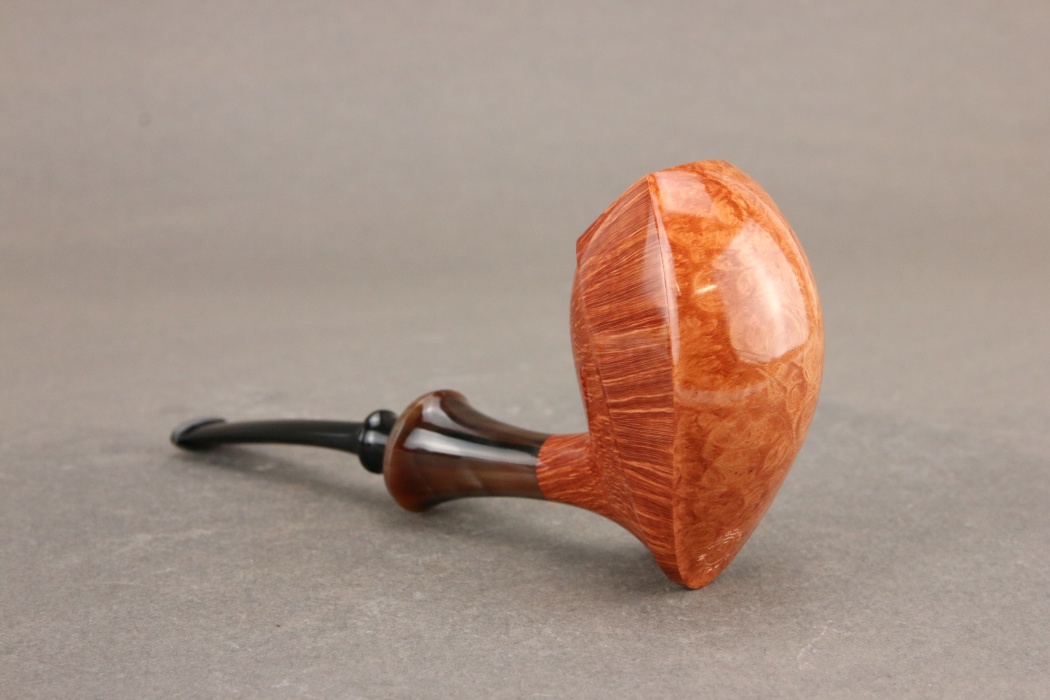 Natural Elephant Foot with horn accent