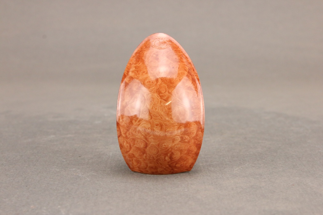 Natural Elephant Foot with horn accent